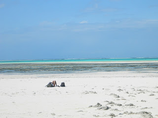 320px x 240px - The Tropical Beach Paradox - Toby Israel