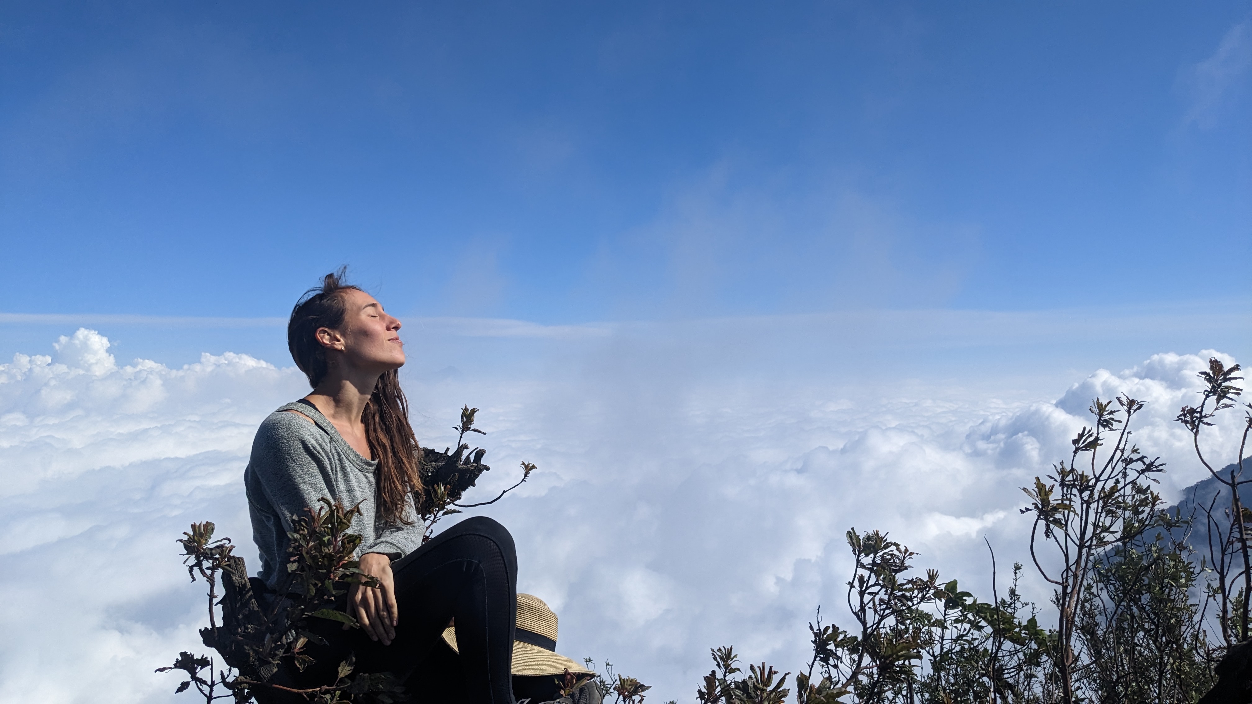 Toby Israel perched in a treetop above the clouds
