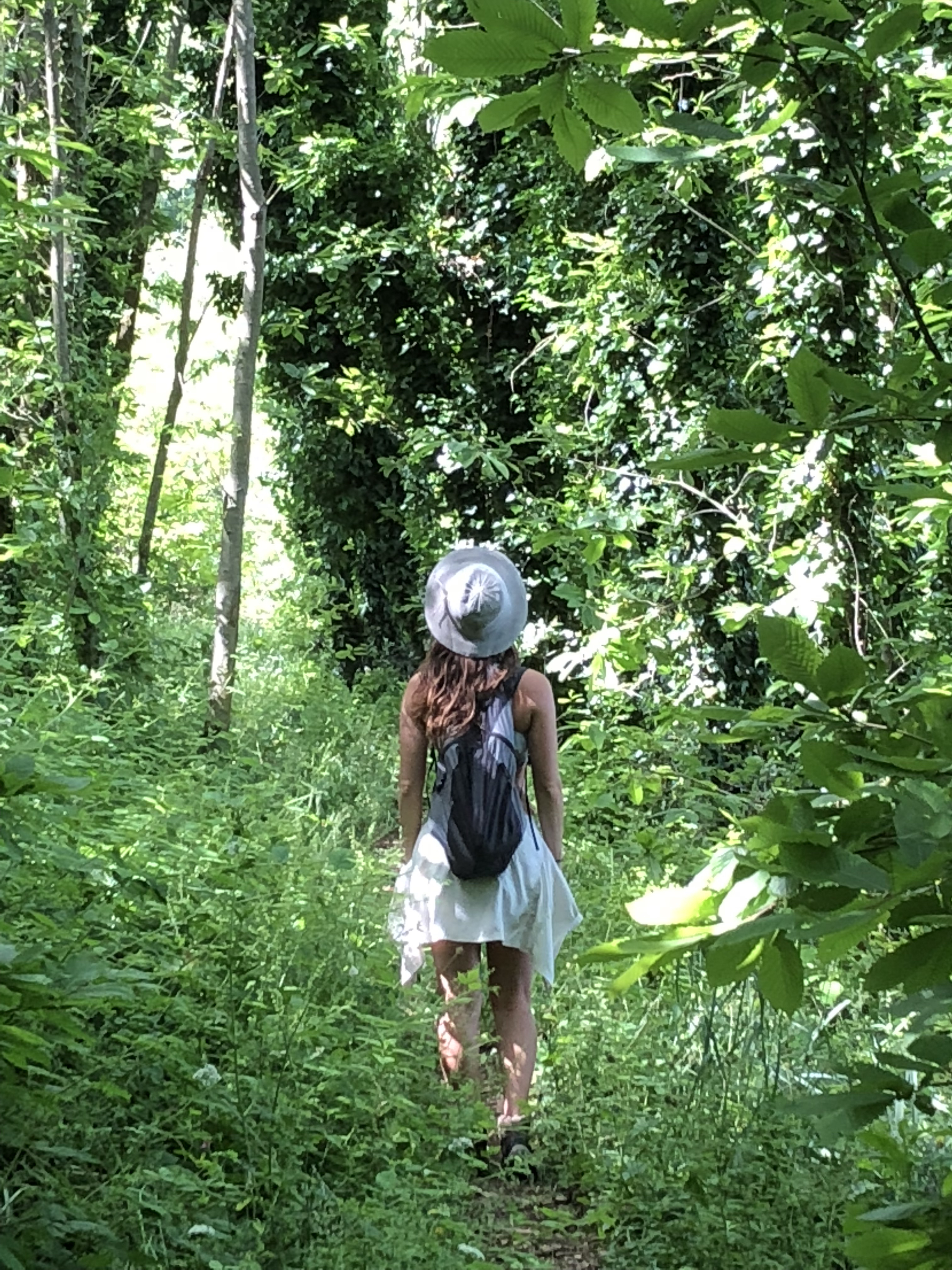 Toby Israel hiking a lush forest path through jungle canopy — book a discovery call for facilitation, consulting, or collaboration.